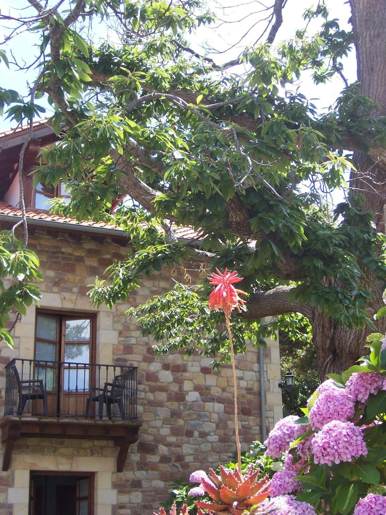 Posada Fuentedevilla Pechón المظهر الخارجي الصورة